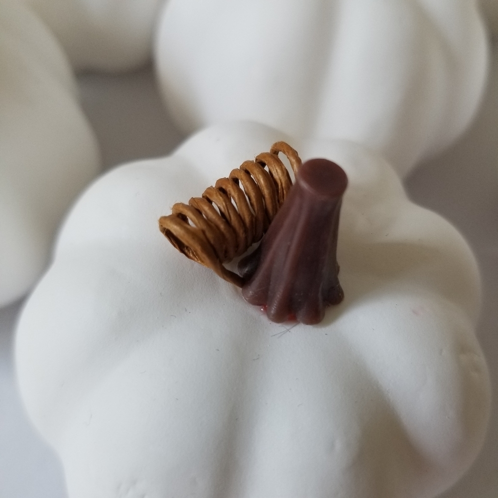 Mini Pumpkins - Picture 5 of 5